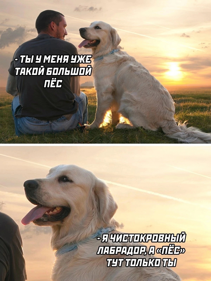 Вот и поговорили