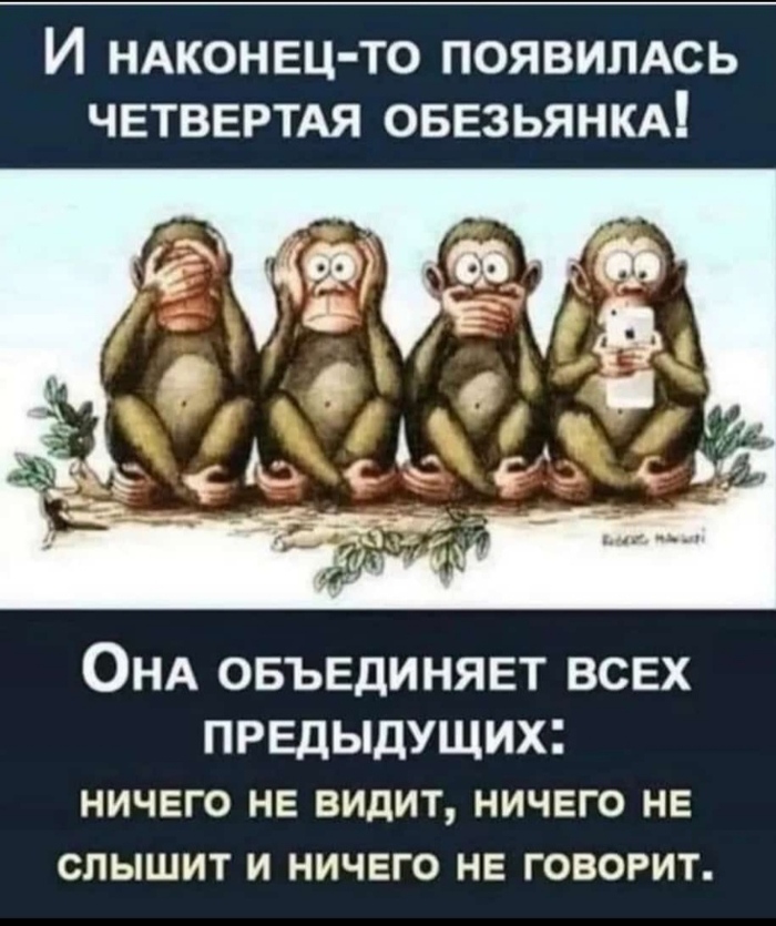 Цикл эволюции. От развития - до деградации