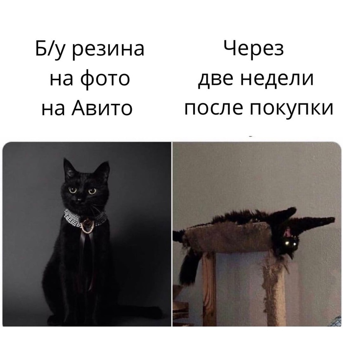 Тру стори)) | Пикабу