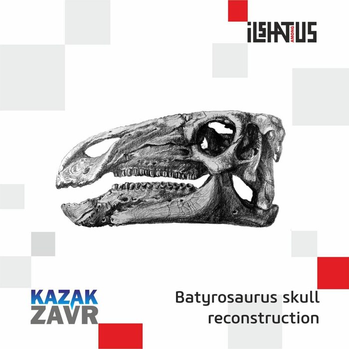 Batyrosaurus skull reconstruction , Pikabu Publish Bot, , , , 