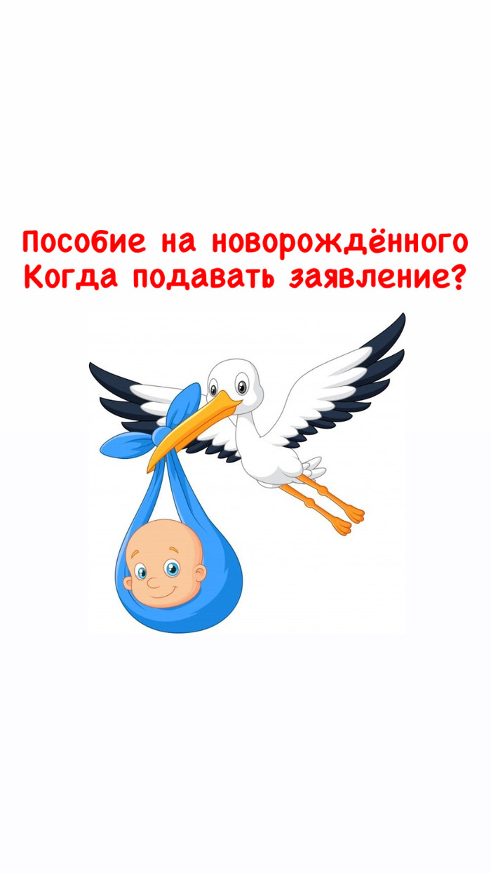 Пособие на новорождённого Когда подавать заявление? |Пикабу