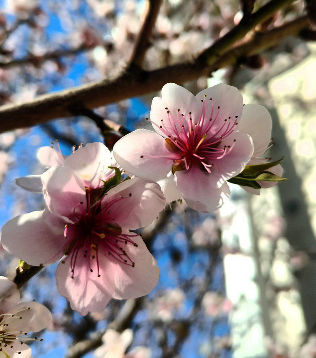Познакомлюсь для общения и совместных игр!