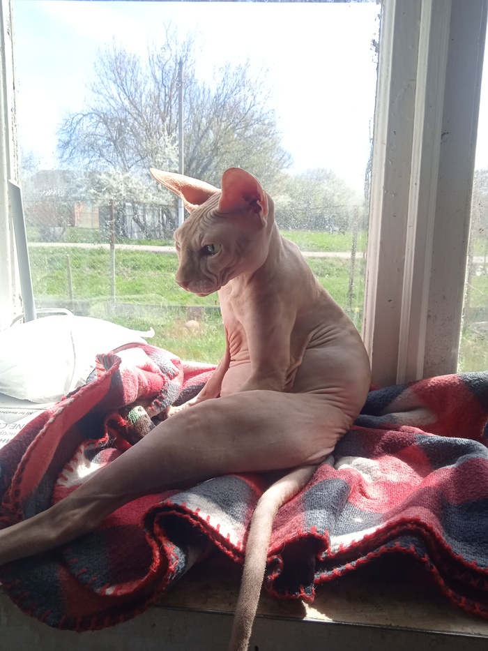 ����� ��������� � ������ �����