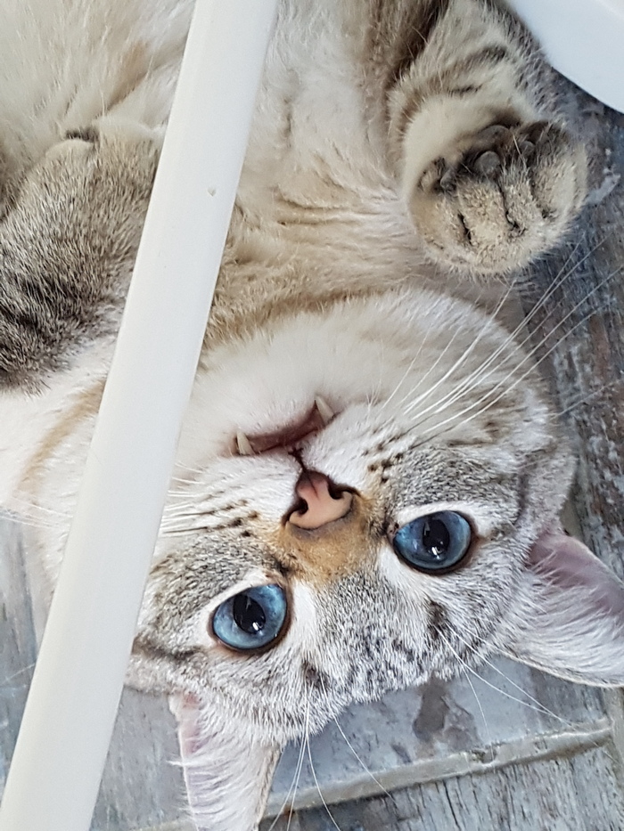 ���� �������