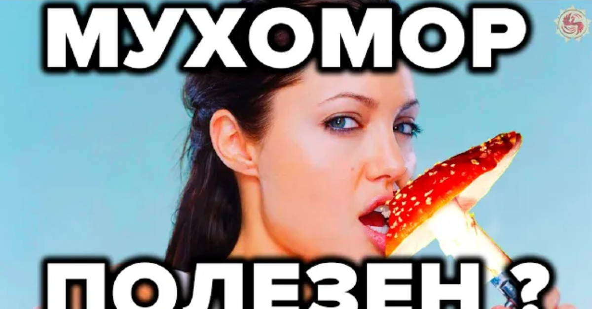 Мухомор - яд или лекарство? | Пикабу