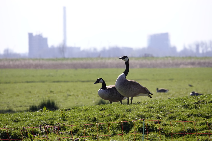 ��������� �������