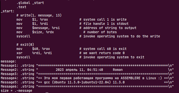     ,     1999 :) Assembler, DOS, Linux, , IT