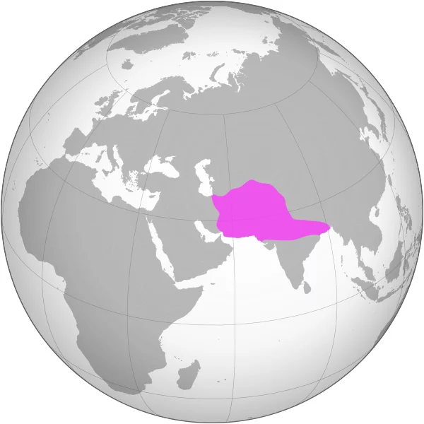 Впечатляющая древняя башня в горах Афганистана. Кто и когда её построил? Научпоп, История (наука), Средневековье, Длиннопост Впечатляющая древняя башня в горах Афганистана. Кто и когда её построил? Научпоп, История (наука), Средневековье, Длиннопост