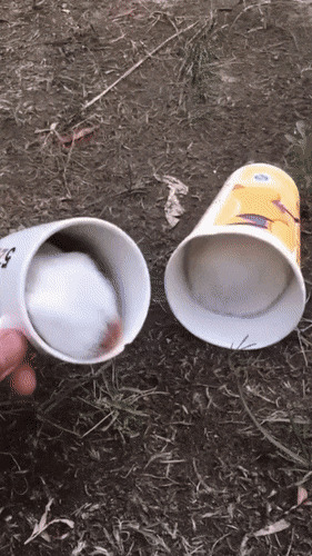       , , , 