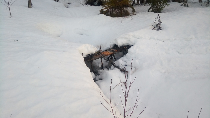 Про везение Мобильная фотография, Рассвет, Природа, Длиннопост