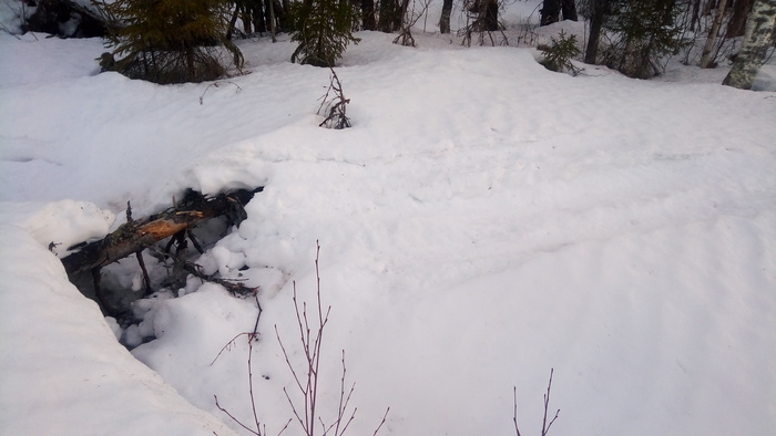 Про везение Мобильная фотография, Рассвет, Природа, Длиннопост