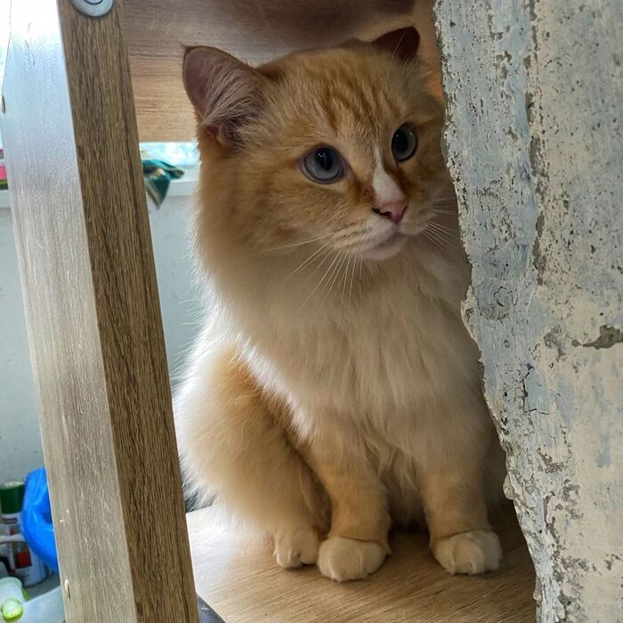   ? ,  , , , , 