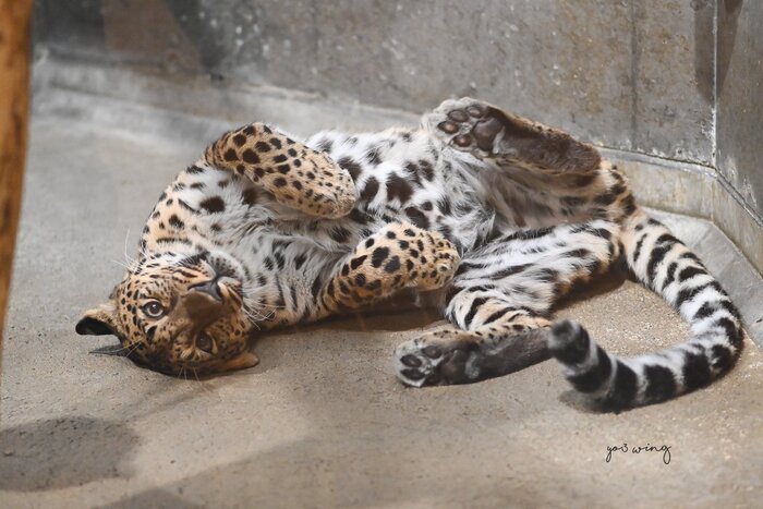 Доброе утро, поваляйся ещё три мнуточки?