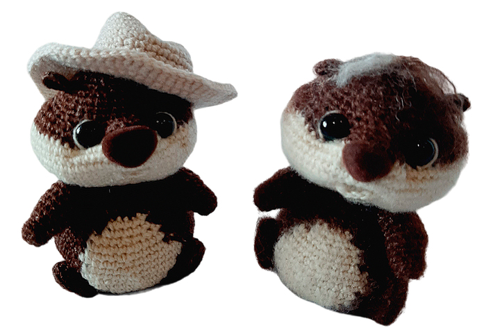 Братцы-акробатцы