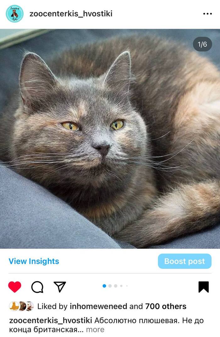 ������ �� �������