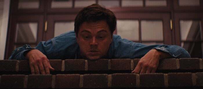     - / The Wolf of Wall Street, 2013, .   ,   -, , 