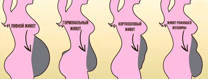  Jodin   &quot;&quot;