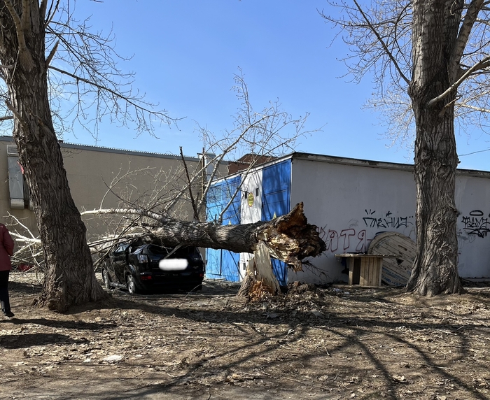 В Челябинске сегодня ветрено…