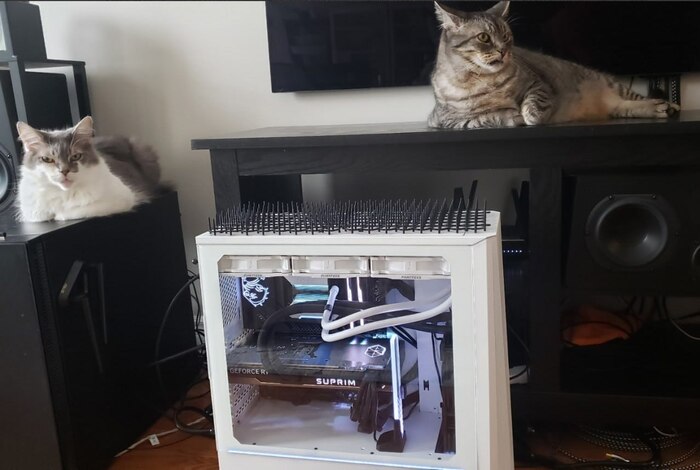 Барсик может пинга накидаем ему в тапки?