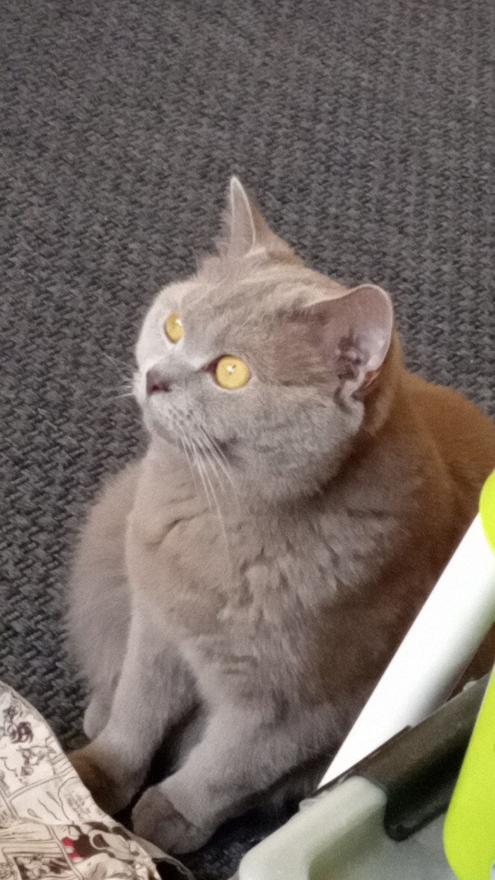 Всем привет!