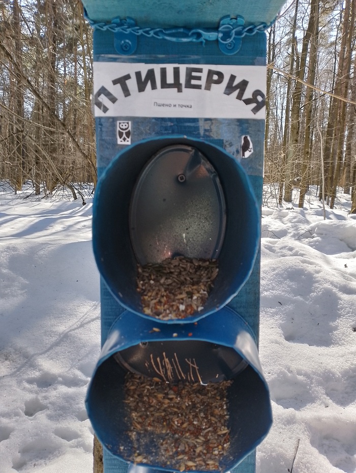 � ��� � ���� ������� ���� ��� ����