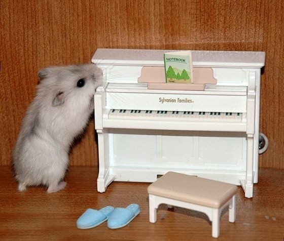 ��, ��, ��, ��, ����, ��, ��, ����� ������ ��� ����