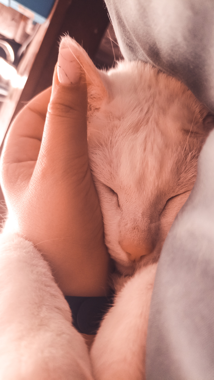 ���� �� ������