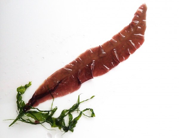 О богах и учёных