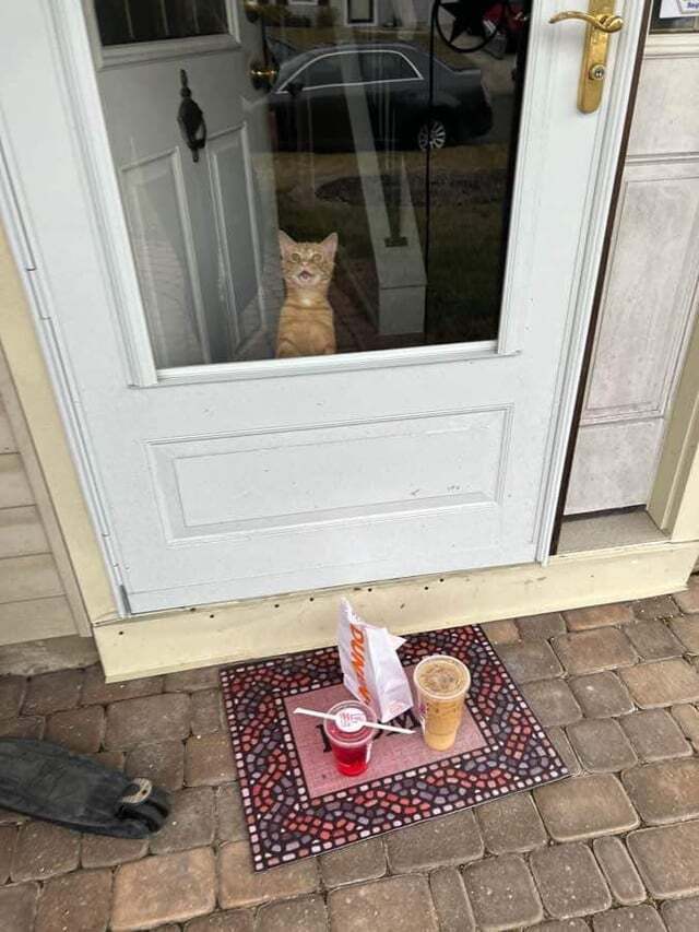 ������ ������� �����