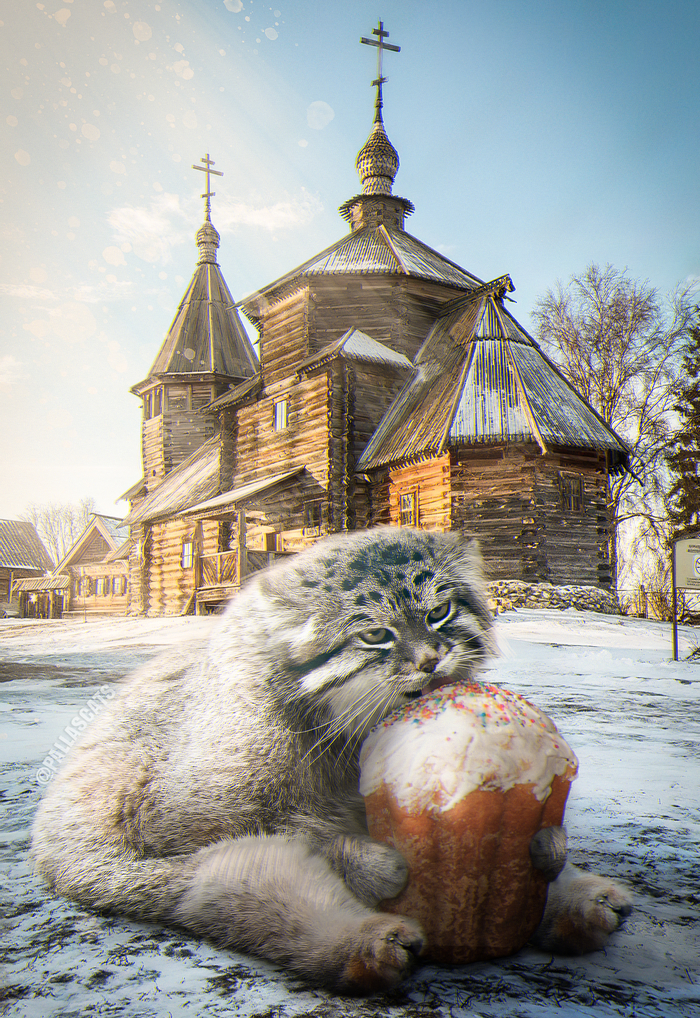 � ������