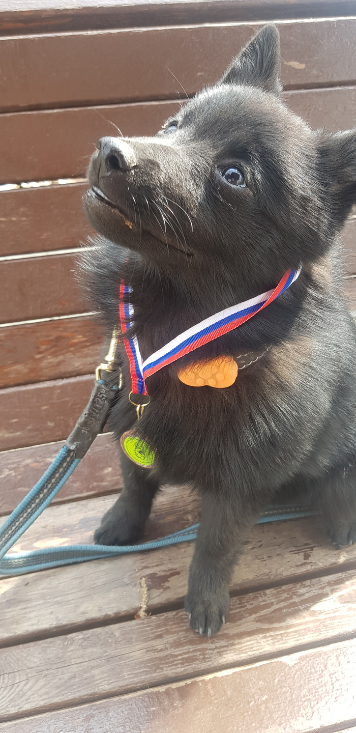 ��� ��������� ��������