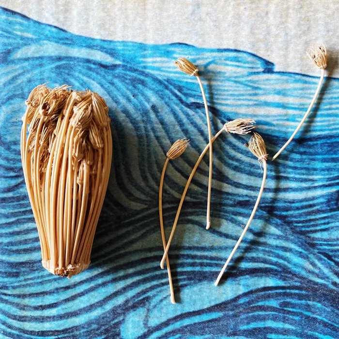 Что это за штука - 177 Перевел сам, WhatIsThisThing, Видео, YouTube, Длиннопост Что это за штука - 177 Перевел сам, WhatIsThisThing, Видео, YouTube, Длиннопост