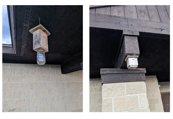 Что это за штука - 177 Перевел сам, WhatIsThisThing, Видео, YouTube, Длиннопост Что это за штука - 177 Перевел сам, WhatIsThisThing, Видео, YouTube, Длиннопост