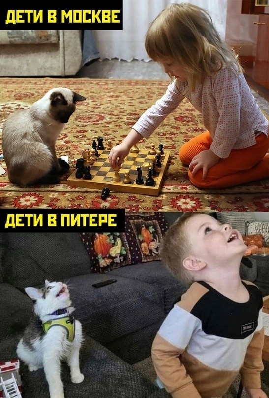 Традиции | Пикабу