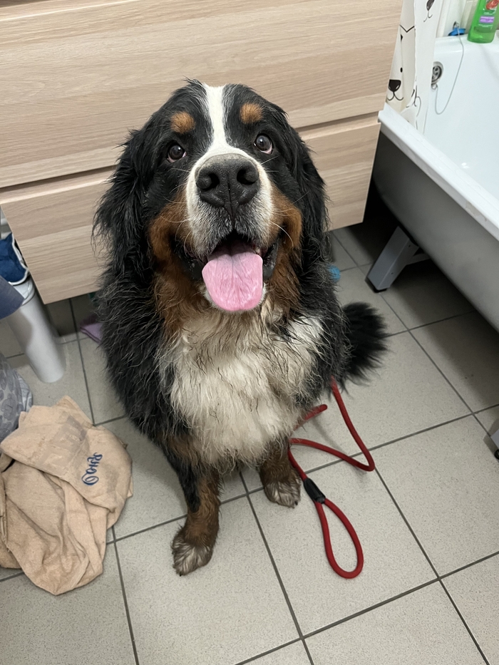 Кто хорошо провёл время?