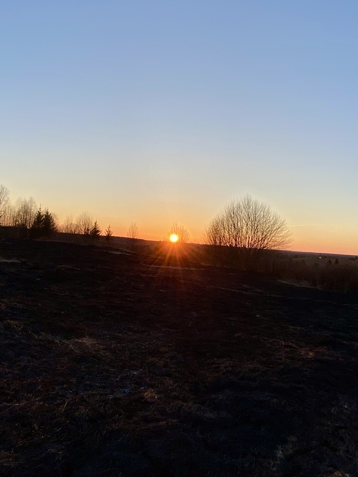 Закат в черном поле