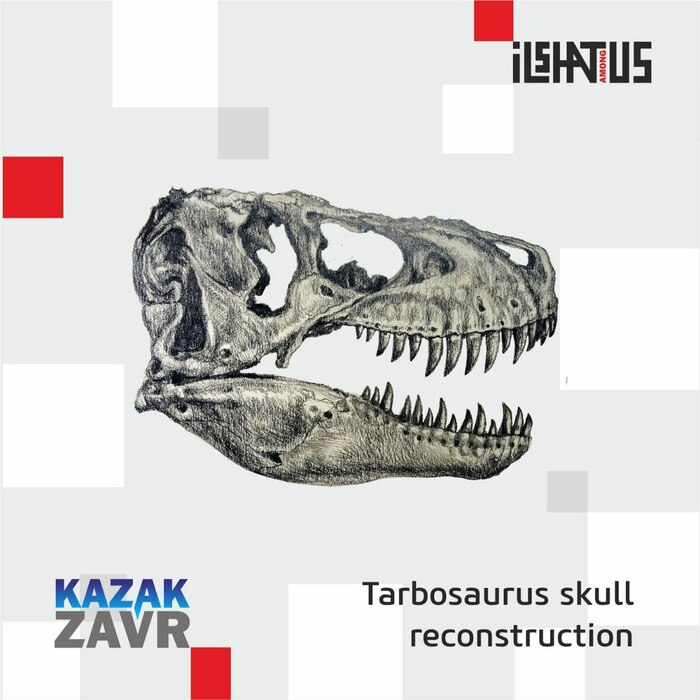 Tarbosaurus skull reconstruction 