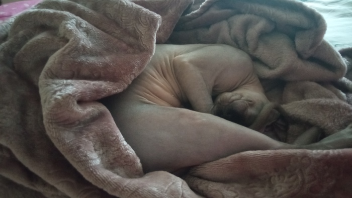 ���! ������ �� �����������! �������� � ����������...