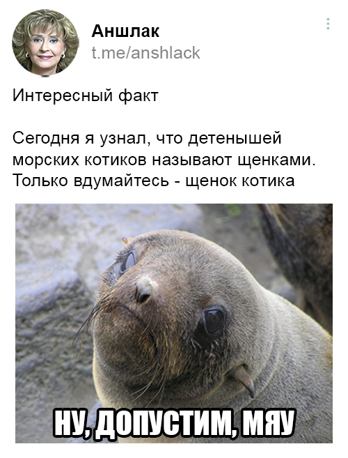 Биологический оксюморон | Пикабу