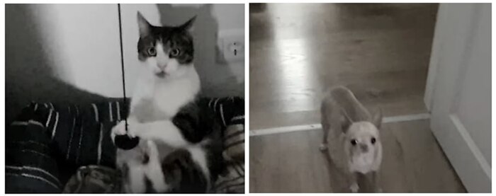 Всем привет меня зовут Кармен