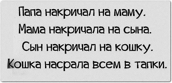 Колесо Сансары