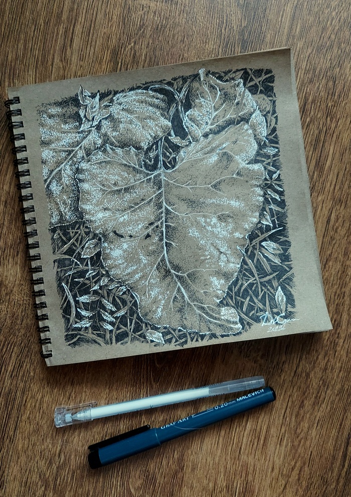 Лопух после заморзка