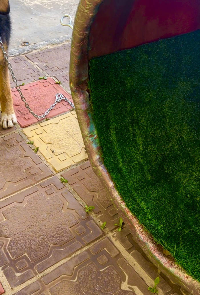 Серия постов «Арт объект - Фаллос Краби»