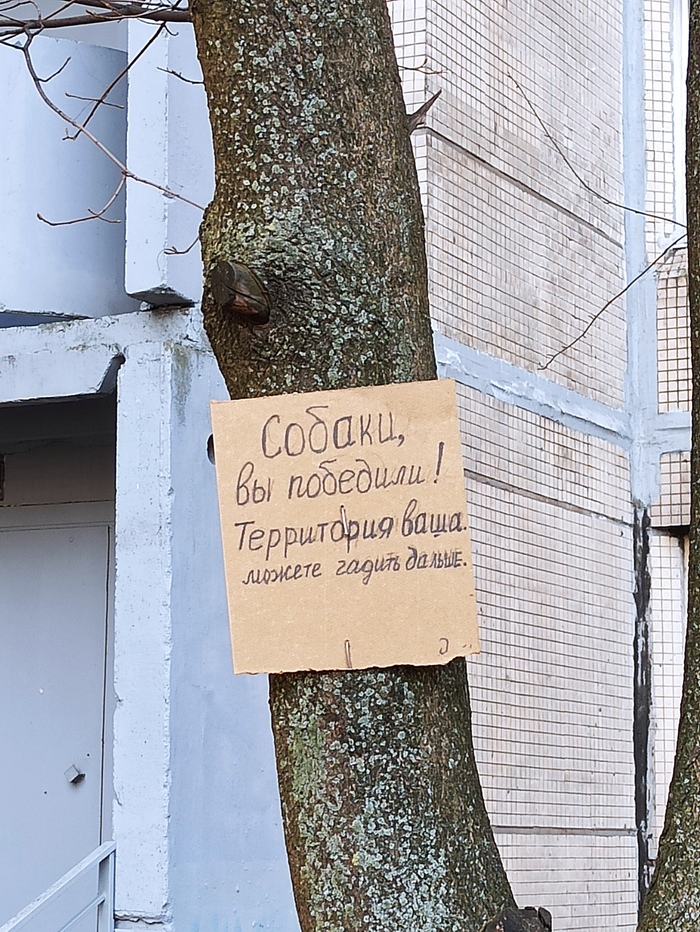 ����� ��������