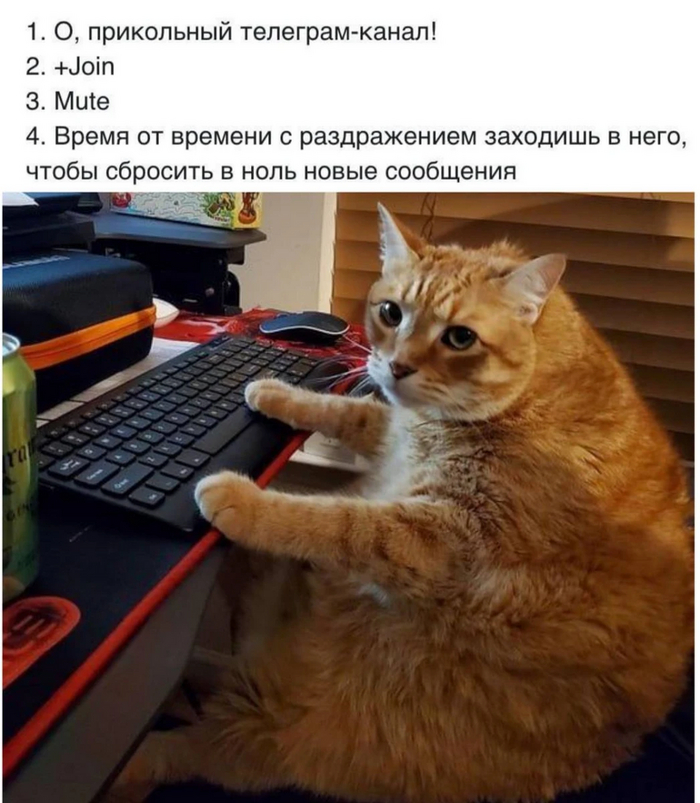 Настоящие мужики сообщения копят!