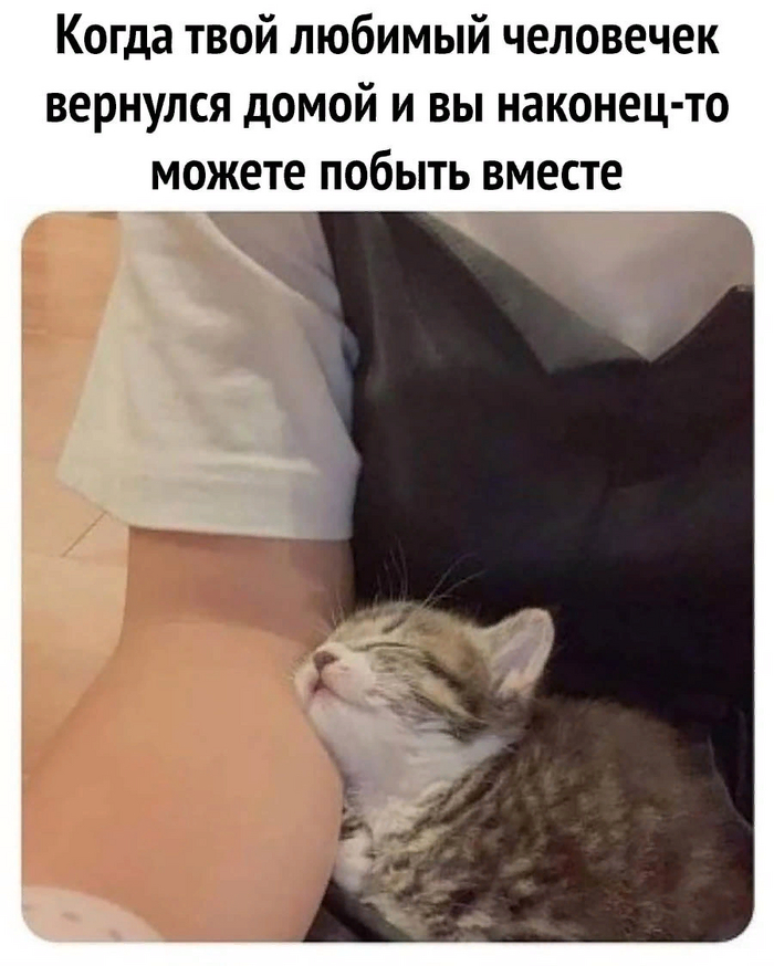        )... , , , , ,   , 