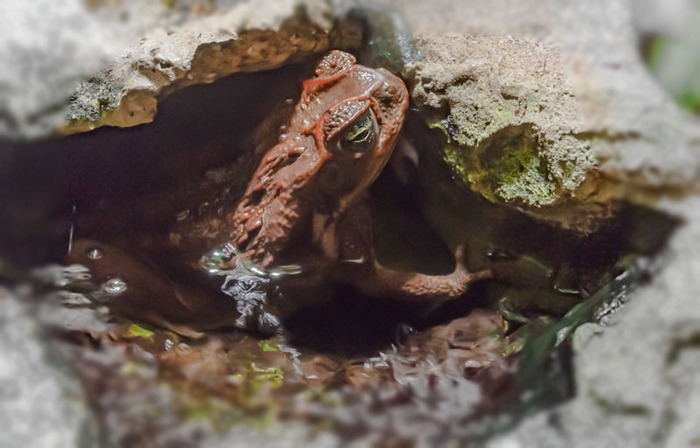 Среда журчит вокруг!