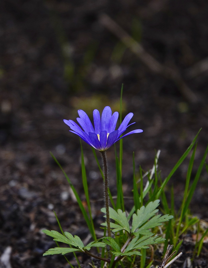 Весна - время позитива