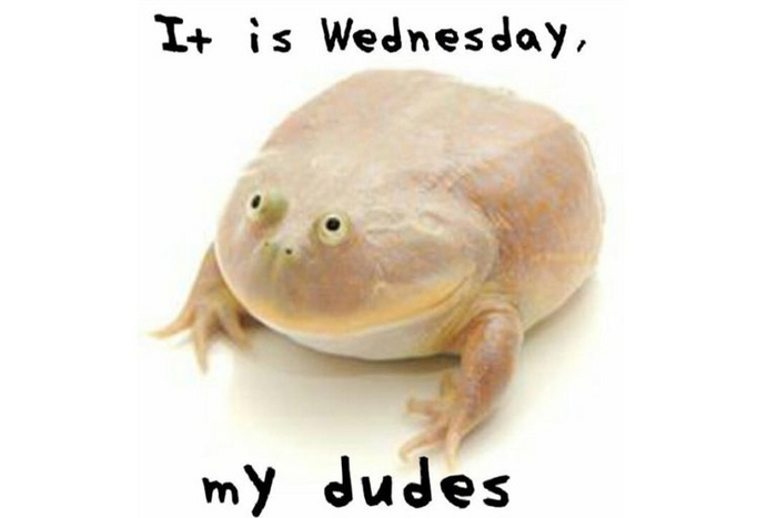   -   It Is Wednesday My Dudes, , , ,   , YouTube, Twitter, , 