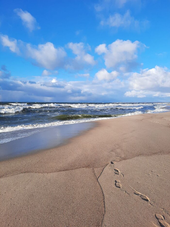 ���� � "����". ��� ������